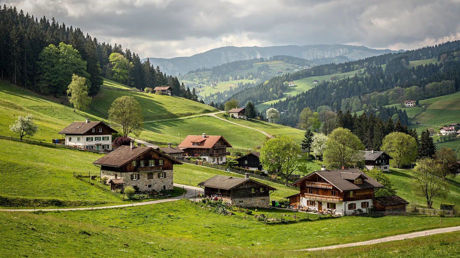 Luxury Watchmaking Relocation Switzerland