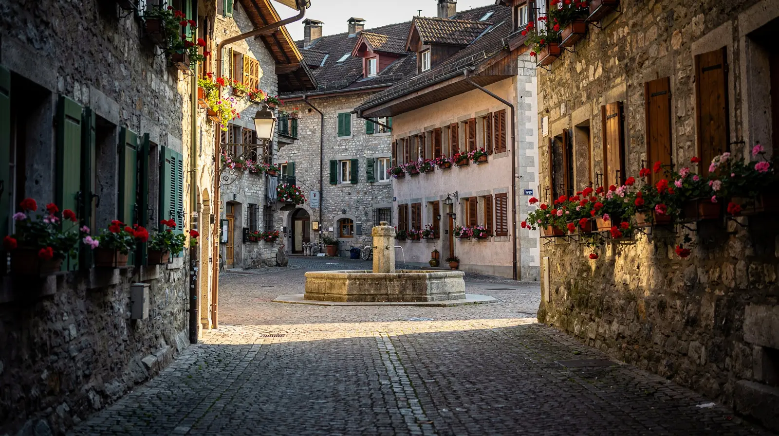 Cultural integration in Switzerland