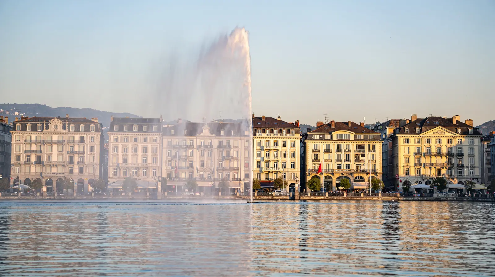 NGO Staff Relocation Geneva