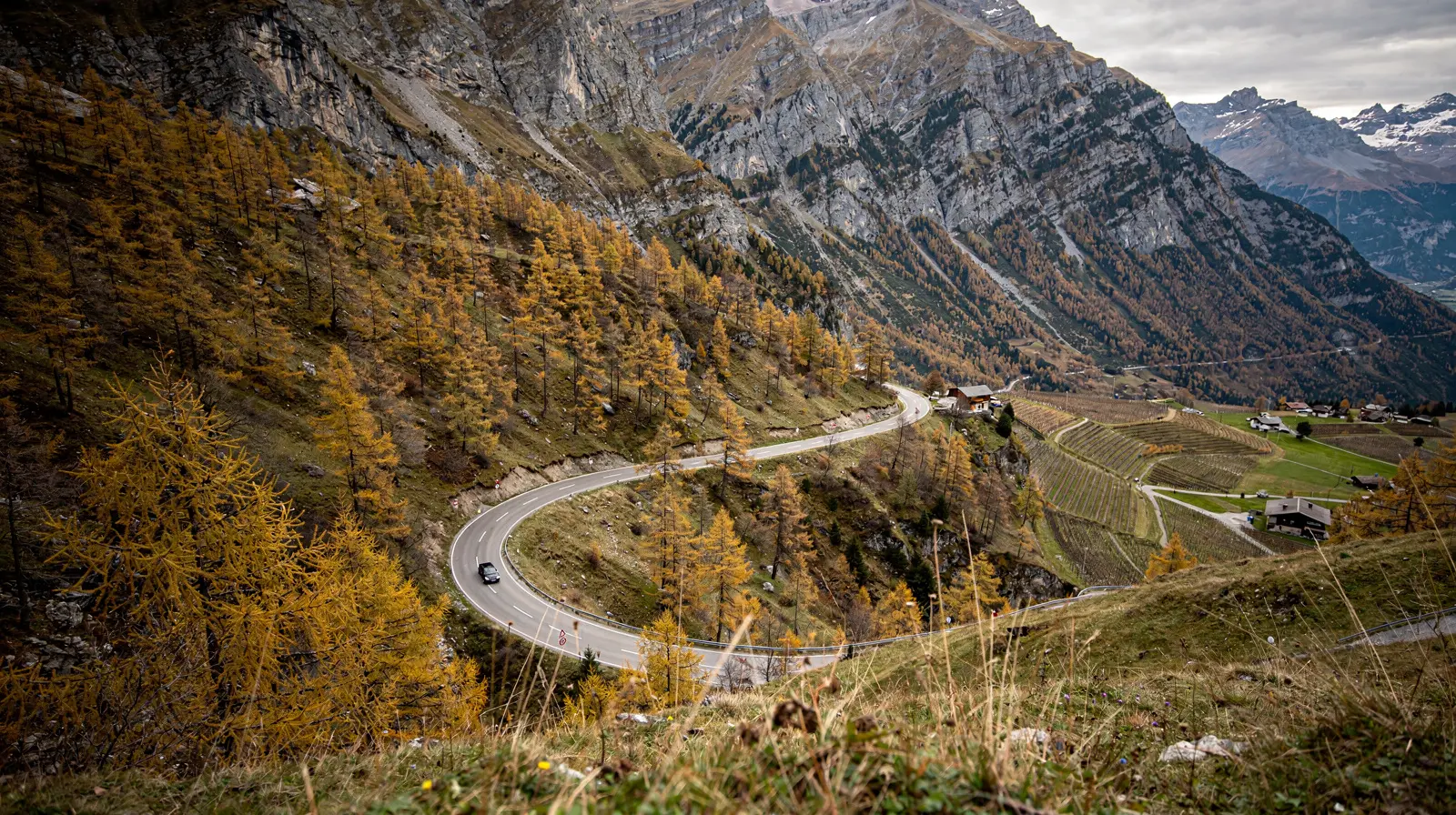 Swiss Driving Licence Exchange